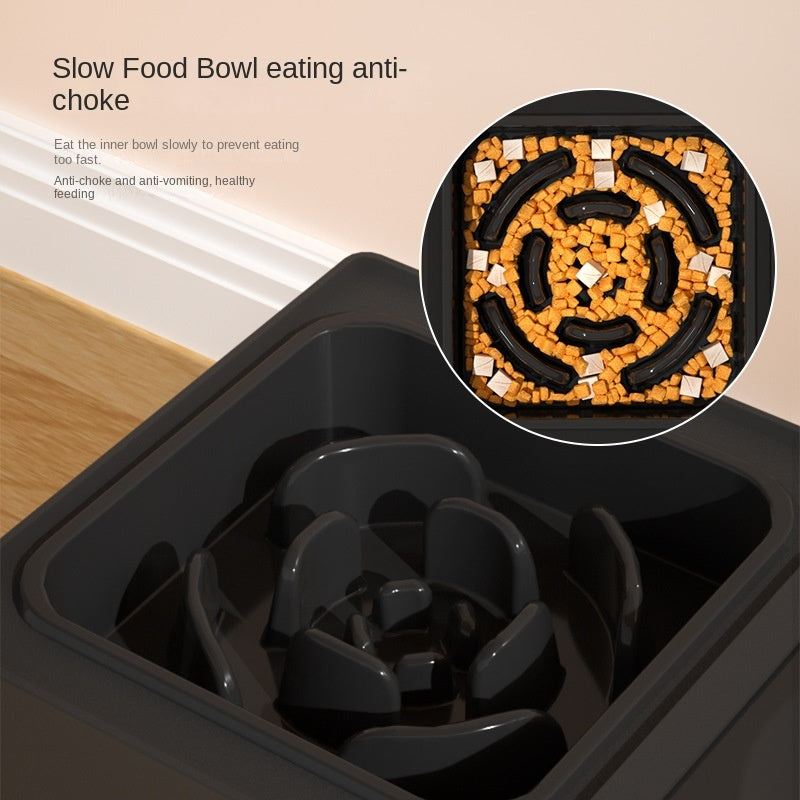 Adjustable Elevated Cat & Dog Feeder for Spine Protection with Removable Stainless Steel Bowl