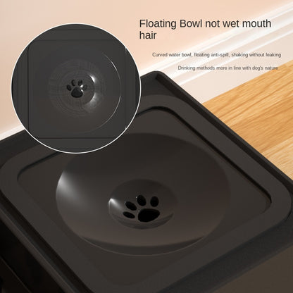 Adjustable Elevated Cat & Dog Feeder for Spine Protection with Removable Stainless Steel Bowl